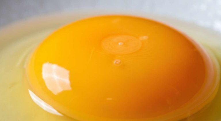 Savez-vous que le petit "fil" blanc dans le jaune d'œuf (la chalaze) est un signe de fraîcheur ?